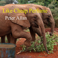 Peter Allan - Like Cheap Perfume