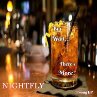 Nightfly - But Wait...There's More!