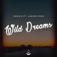 Codice - Wild Dreams (feat. Junior Paes)