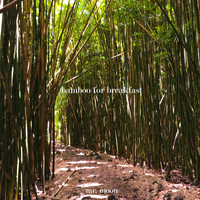 Mr. Moon - Bamboo for Breakfast
