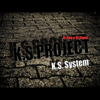 K.S. Project - The Shadow of Your Smile