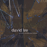 David Lee - Broken is Beautiful