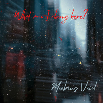 Moebius Void - What am I doing here?