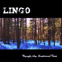 Lingo - Through the Scattered Trees