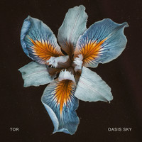 Tor - Oasis Sky