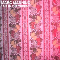 Marc Manning - Air In The Trees