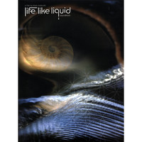 Low Pressure Sound System - Life Like Liquid Soundtrack