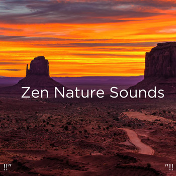Nature Sounds Nature Music, Nature Sounds and BodyHI - !!" Zen Nature Sounds "!!
