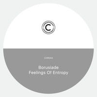 Borusiade - Feelings of Entropy