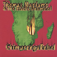 Thomas Mapfumo - Chimurenga Rebel/Manhungetunge