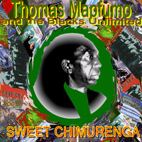 Thomas Mapfumo - Sweet Chimurenga