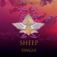 Noah Young - Sheep