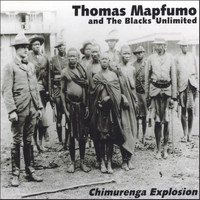 Thomas Mapfumo - Chimurenga Explosion