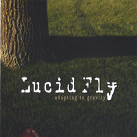 Lucid Fly - Adapting To Gravity