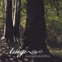 Luigi - Found on the Forest Floor