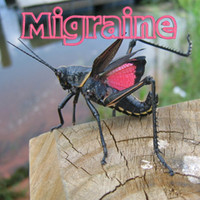 Migraine - 52 - Grasshopper