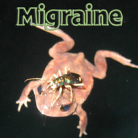 Migraine - 131 - Gas Mask