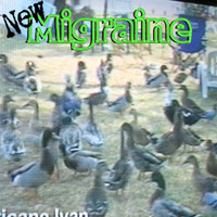 Migraine - 161 - Ducks
