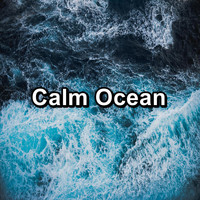 Nature Sounds Radio - Calm Ocean