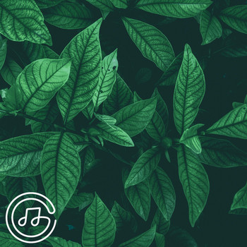 BRVNO - Leaf