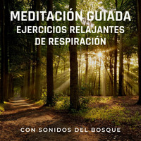 Hermanos Sherman Meditaciones - Meditación Guiada: Ejercicios Relajantes de Respiración (Con Sonidos del Bosque)