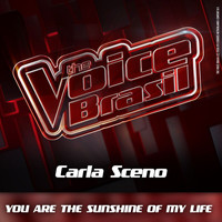 Carla Sceno - You Are The Sunshine Of My Life (Ao Vivo)