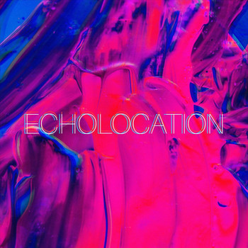 Derek Armstrong - Echolocation