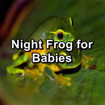 Organic Nature Sounds - Night Frog for Babies