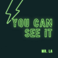 Mr. La - You Can See It