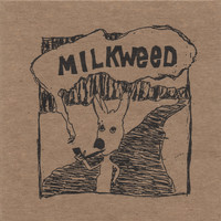 Milkweed - milkweed