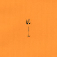 Manuel Engel - Fork Remixed, Special Edition