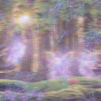 XOXO - Fairy Tale World (Explicit)