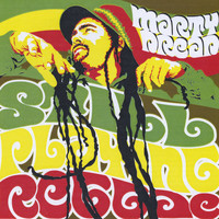 Marty Dread - Still Playing Reggae