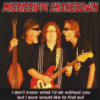 Mississippi Shakedown - I Don't Know What I'd Do Without You But I Sure Would LIke To Find Out