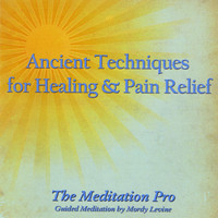 Mordy Levine - Ancient Techniques for Healing & Pain Relief