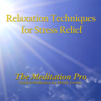 Mordy Levine - Relaxation Techniques for Stress Relief