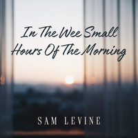 Sam Levine - In the Wee Small Hours of the Morning (feat. Pat Coil, Jacob Jezioro & Danny Gottlieb)