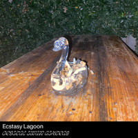 Ecstasy Lagoon - Crystal Swan Ashtray