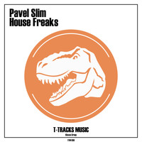 DJ Pavel Slim - House Freaks