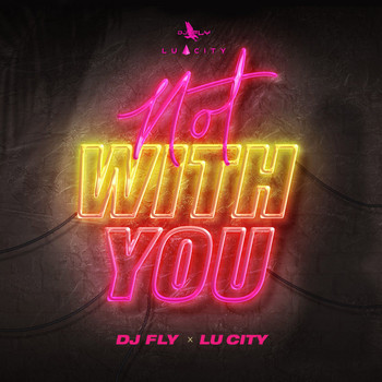 DJ Fly & Lu City - Not with You