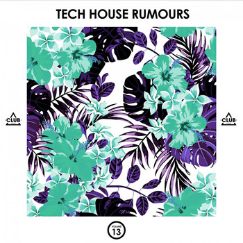 Various Artists - Tech House Rumours, Vol. 13 (Explicit)
