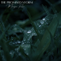 Morrigan Raine / - The Promised Storm