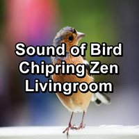 Singing Birds - Sound of Bird Chipring Zen Livingroom