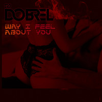 DJ DobreL - Way I Feel About You
