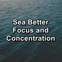 Ocean Waves Sleep Aid - Sea Better Focus and Concentration