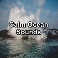 Ocean Waves Sleep Aid - Calm Ocean Sounds