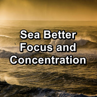 Chakra - Sea Better Focus and Concentration