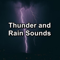Sleep Tribe - Thunder and Rain Sounds