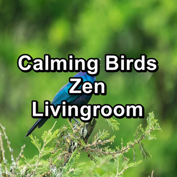 Animal and Bird Songs - Calming Birds Zen Livingroom