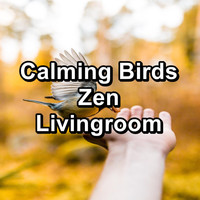 Spa & Spa - Calming Birds Zen Livingroom